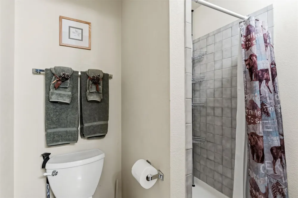 165 Shadows Drive Breckenridge, CO 80424