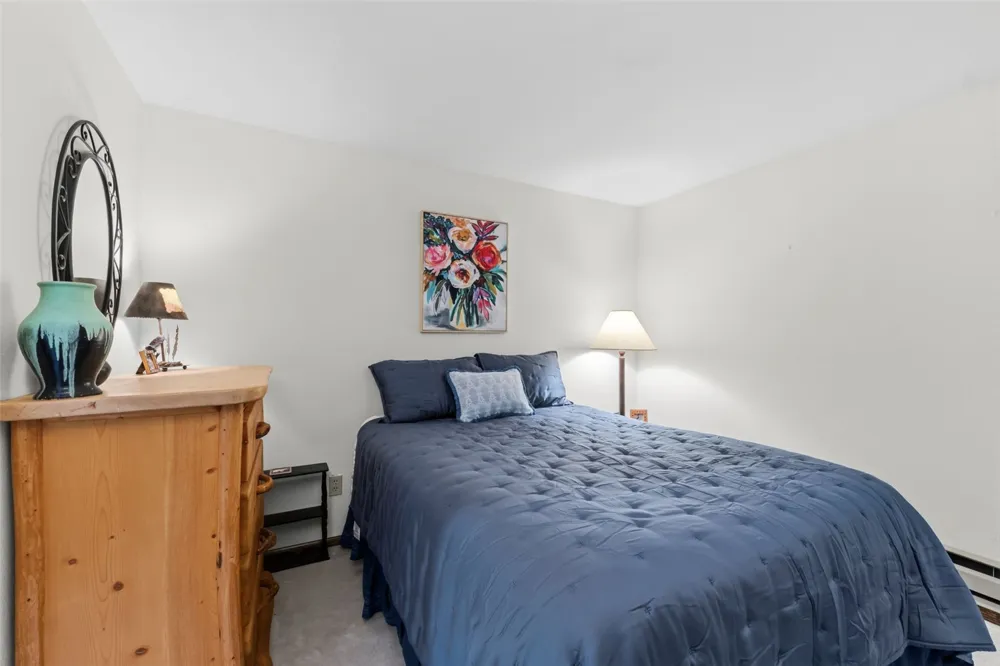 165 Shadows Drive Breckenridge, CO 80424