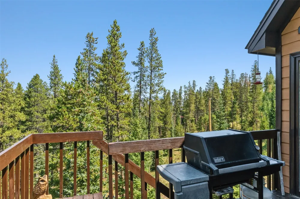 165 Shadows Drive Breckenridge, CO 80424