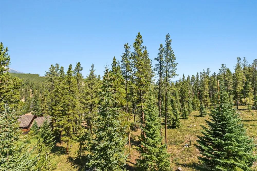 165 Shadows Drive Breckenridge, CO 80424