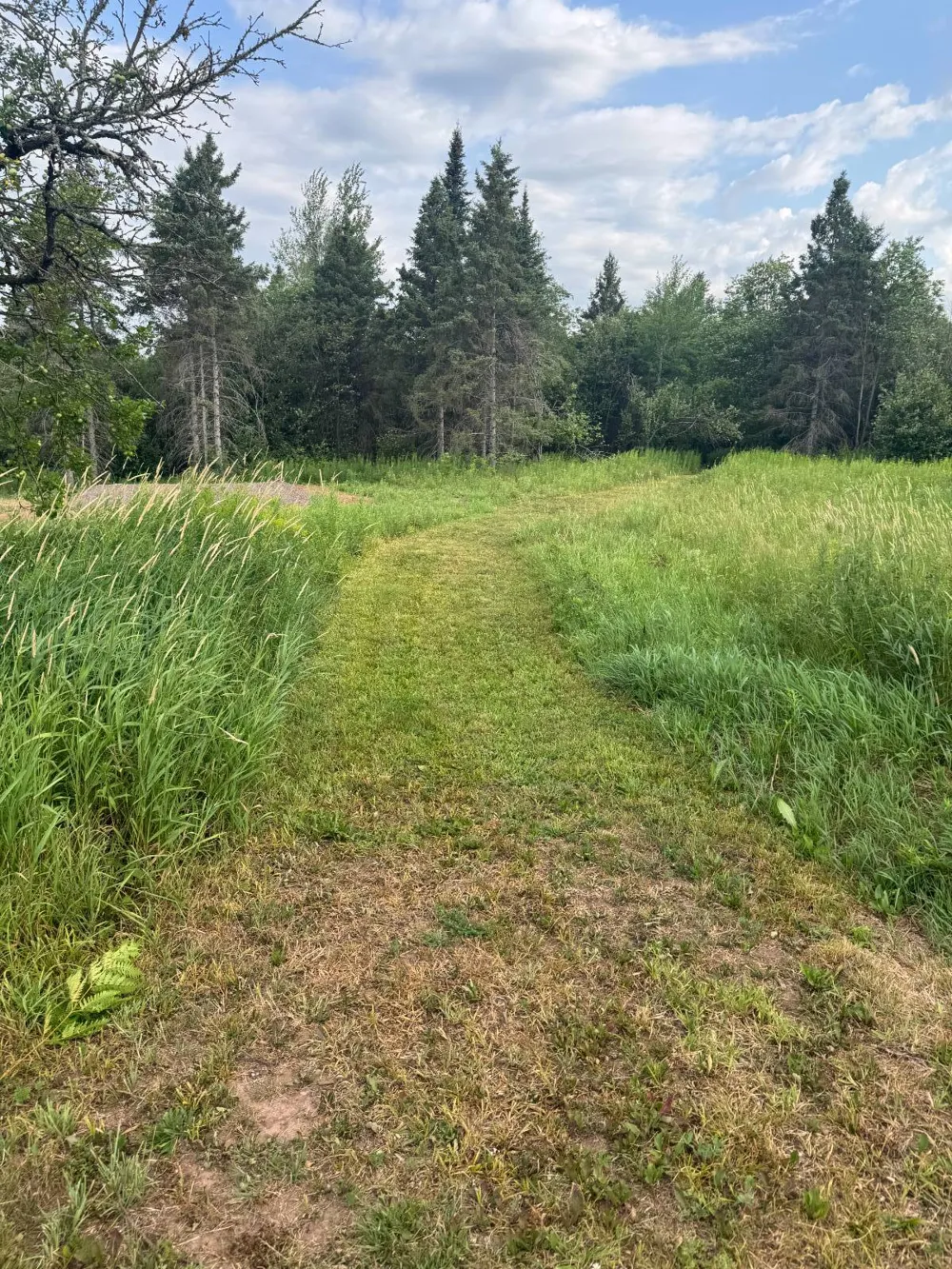 16.45 acres on Pioneer Rd Ironwood, MI 49938