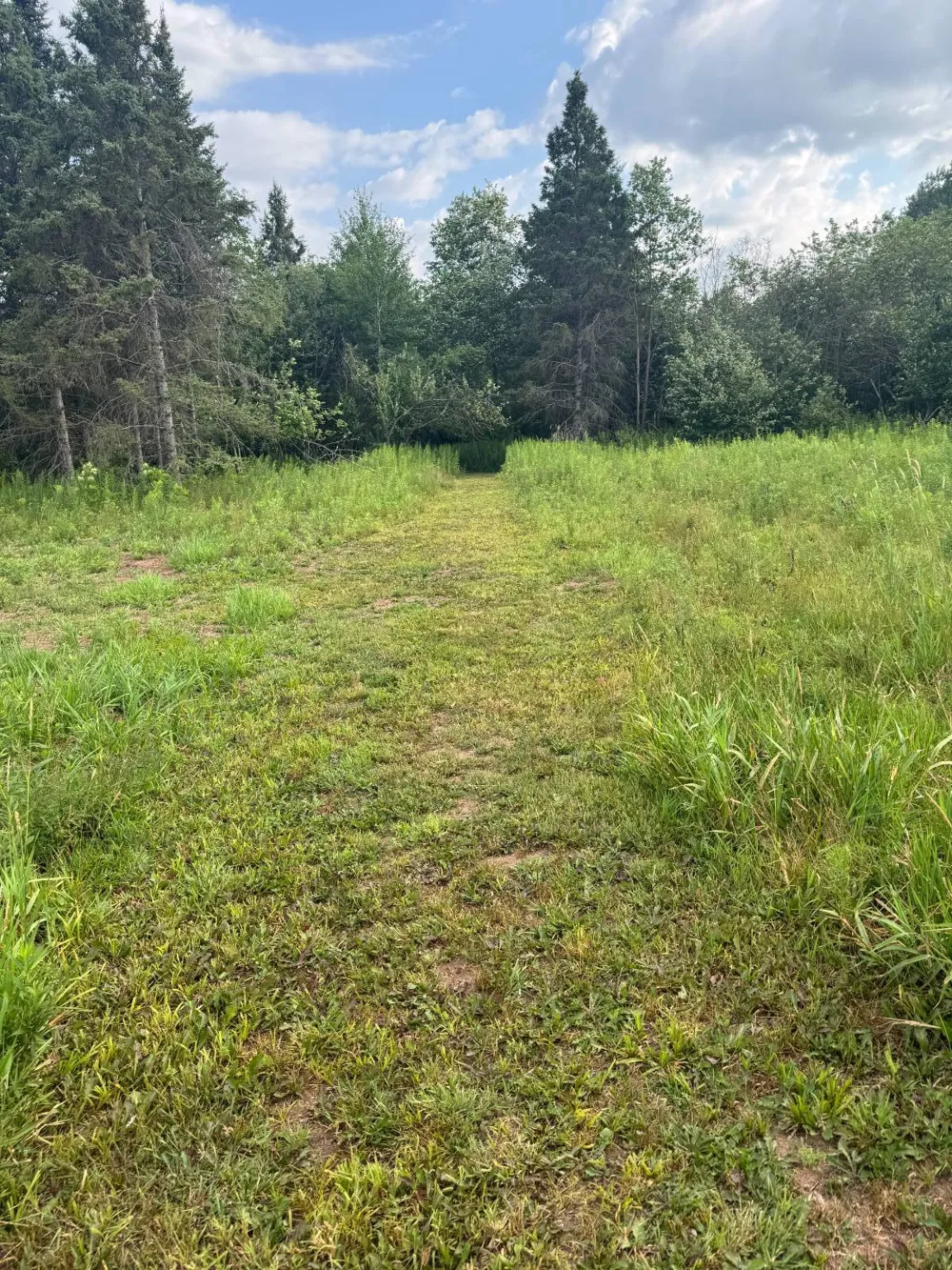 16.45 acres on Pioneer Rd Ironwood, MI 49938