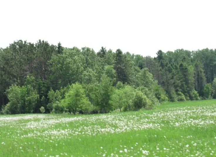20864 S Mackinac Trail Rudyard, MI 49780