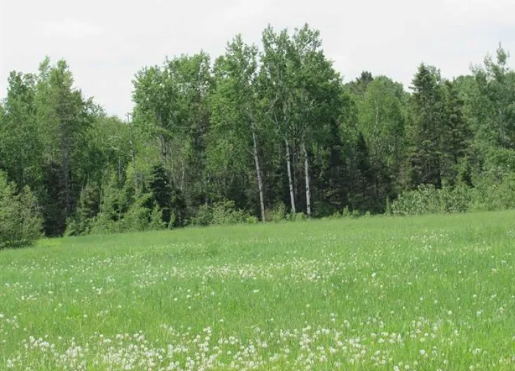 20864 S Mackinac Trail Rudyard, MI 49780