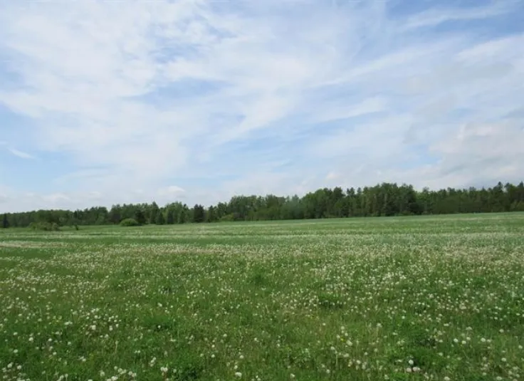 20864 S Mackinac Trail Rudyard, MI 49780