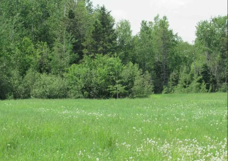 20864 S Mackinac Trail Rudyard, MI 49780