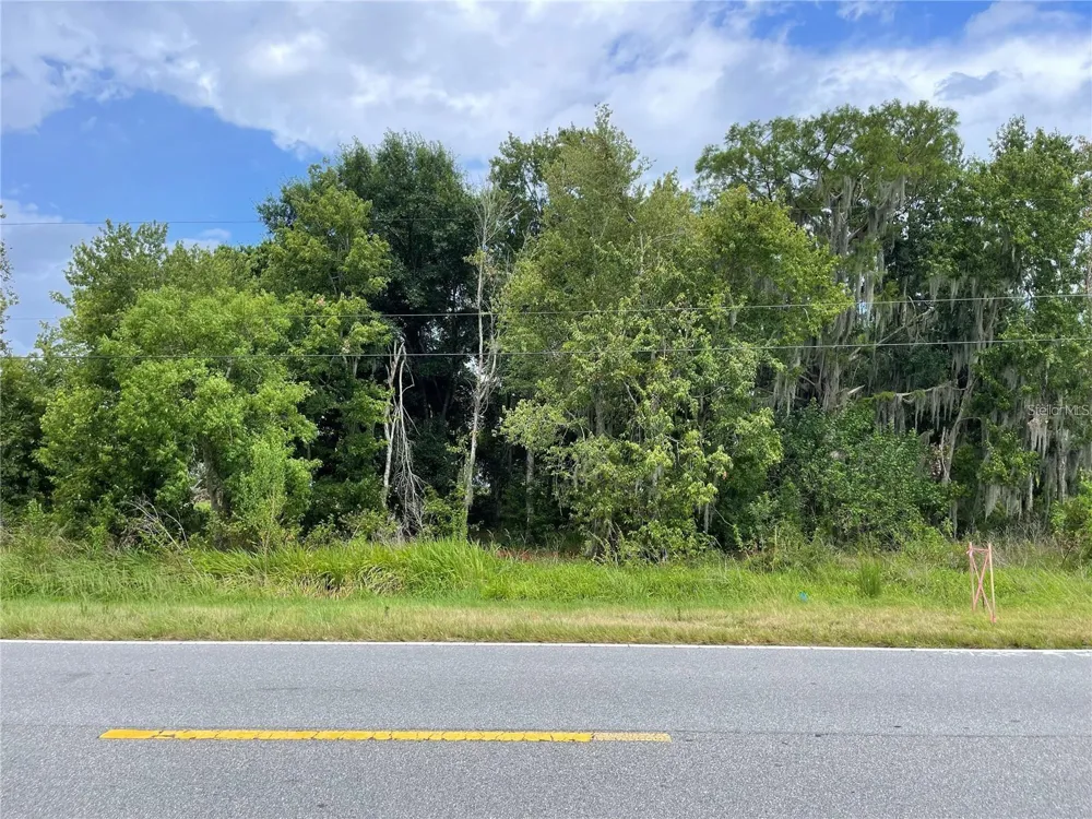E LAKE SHORE BOULEVARD Kissimmee, FL 34744