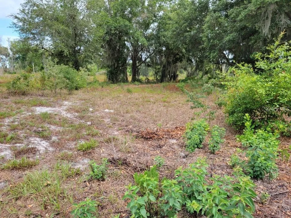 E LAKE SHORE BOULEVARD Kissimmee, FL 34744