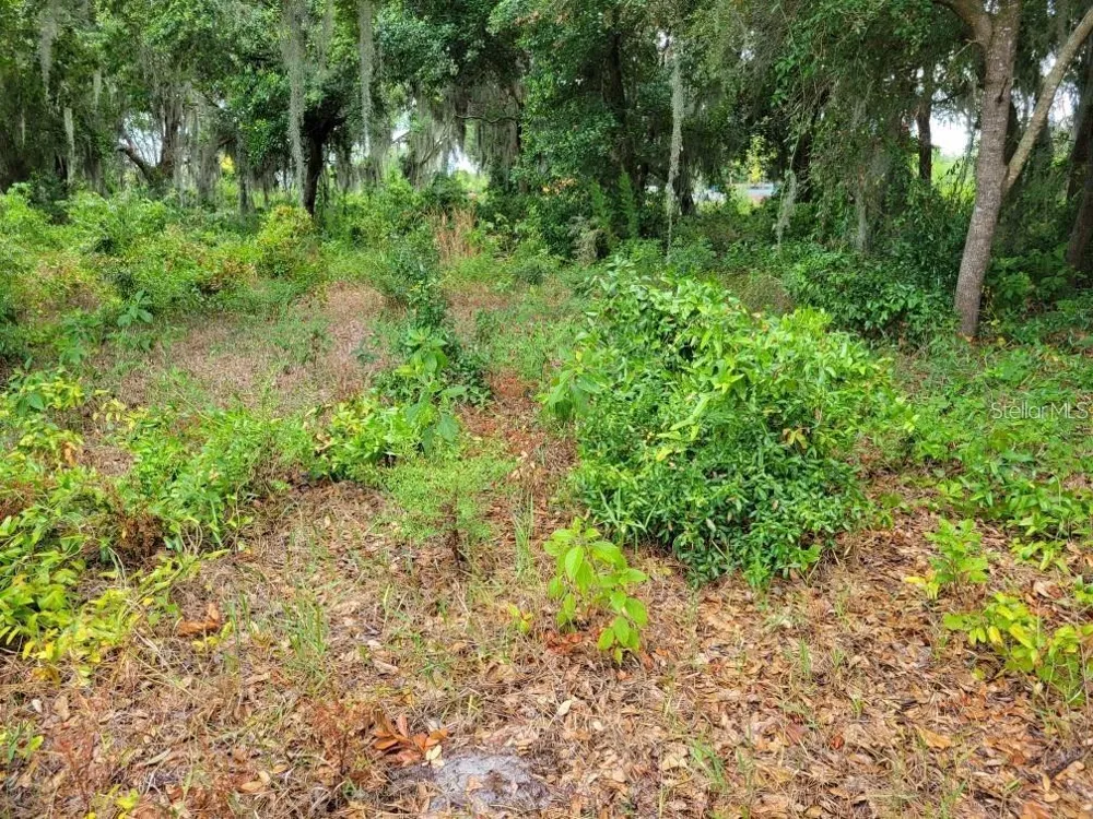 E LAKE SHORE BOULEVARD Kissimmee, FL 34744