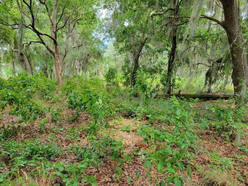 E LAKE SHORE BOULEVARD Kissimmee, FL 34744