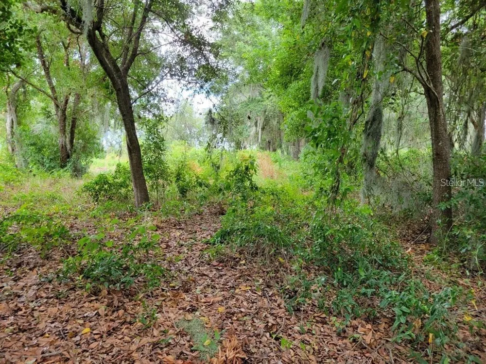 E LAKE SHORE BOULEVARD Kissimmee, FL 34744