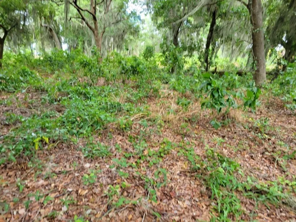 E LAKE SHORE BOULEVARD Kissimmee, FL 34744
