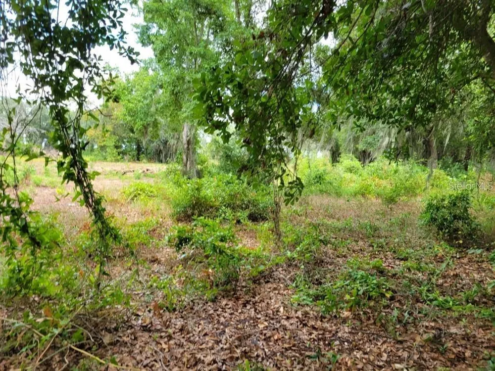 E LAKE SHORE BOULEVARD Kissimmee, FL 34744