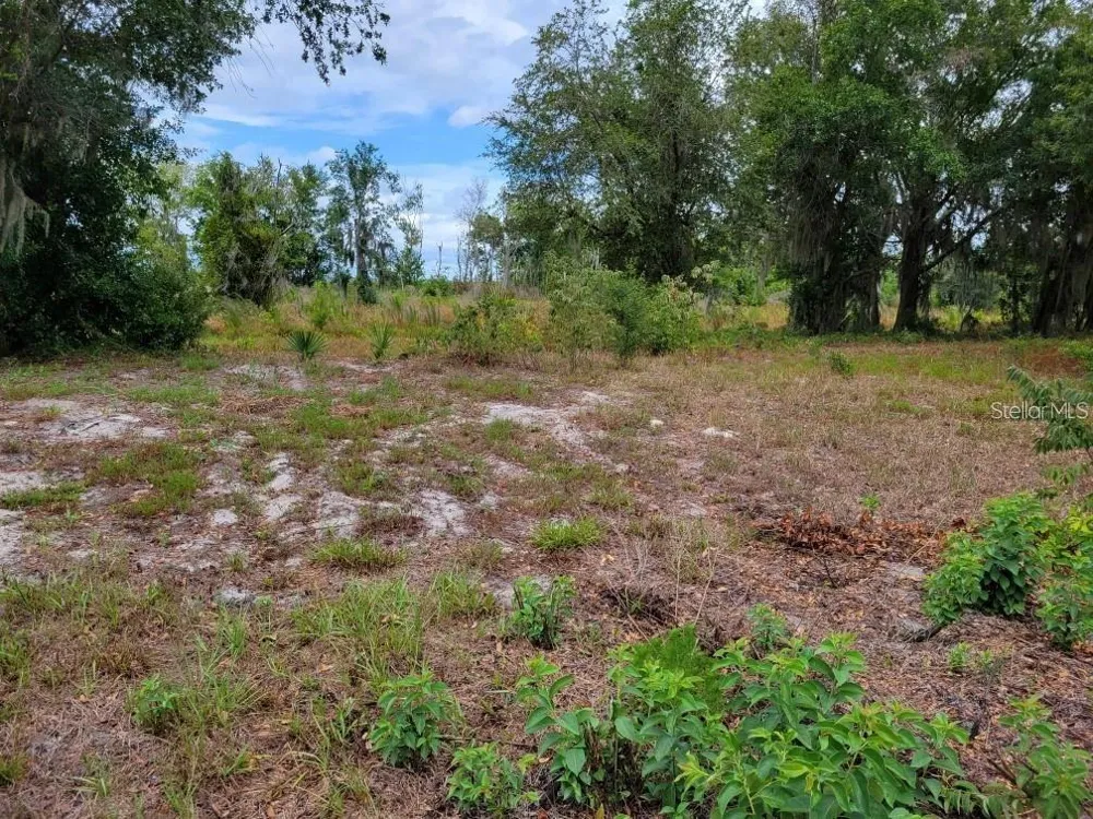 E LAKE SHORE BOULEVARD Kissimmee, FL 34744