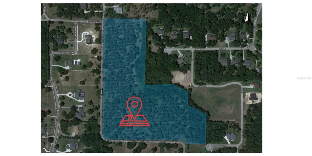 6203 ALLEN STREET Mount Dora, FL 32757