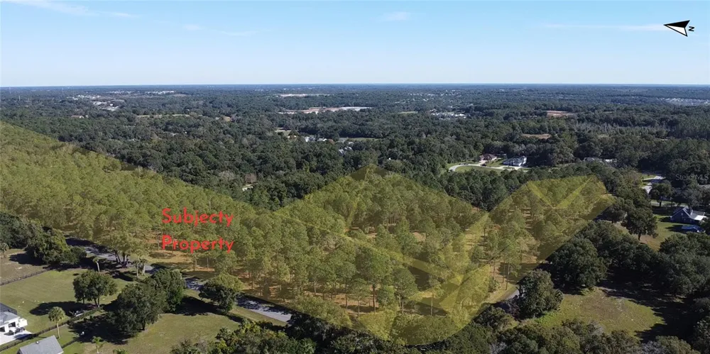 6203 ALLEN STREET Mount Dora, FL 32757