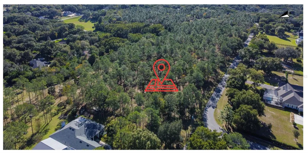 6203 ALLEN STREET Mount Dora, FL 32757