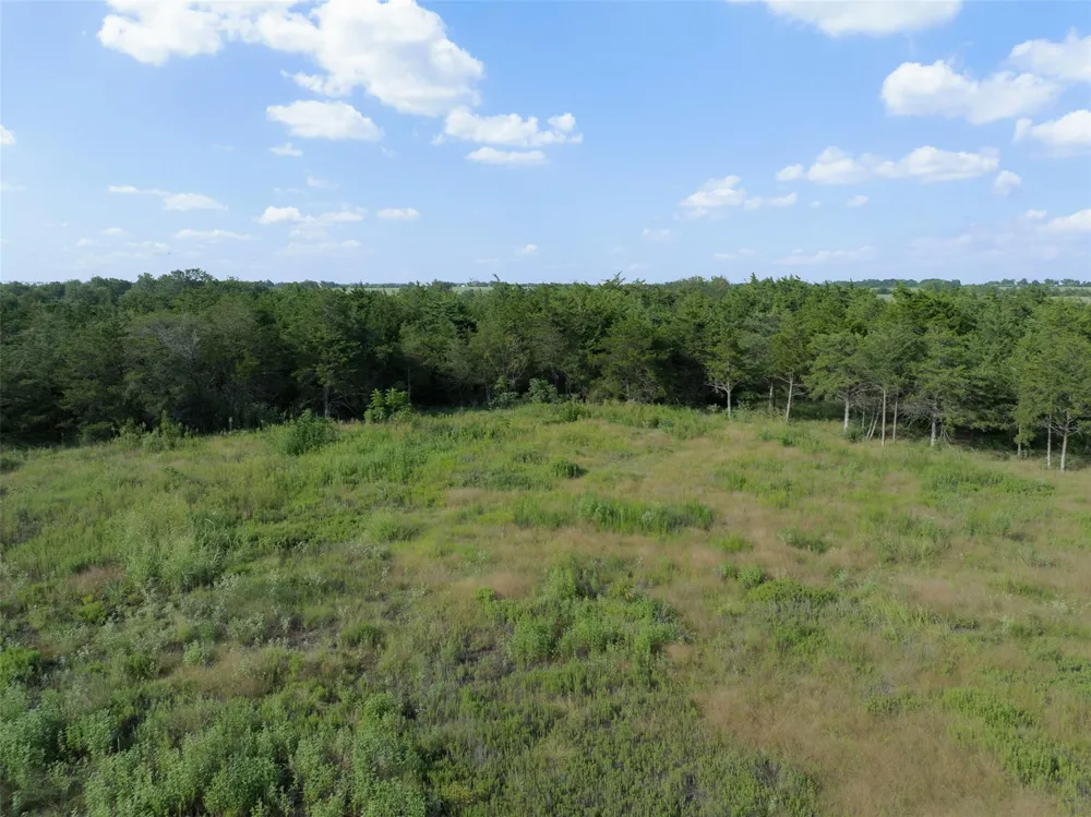 598 Vineyard View Trail Carmine, TX 78932