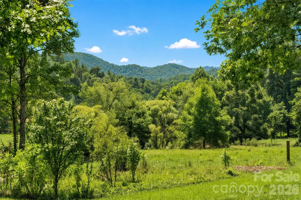 789 Morrow Branch Road Leicester, NC 28748