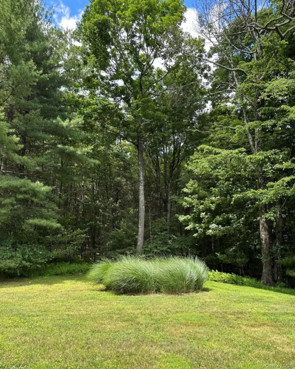 99 Van Tine Road Kerhonkson, NY 12446