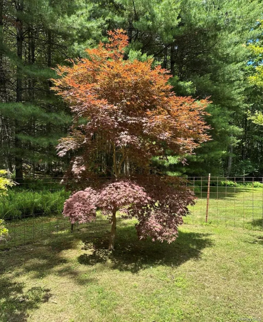 99 Van Tine Road Kerhonkson, NY 12446