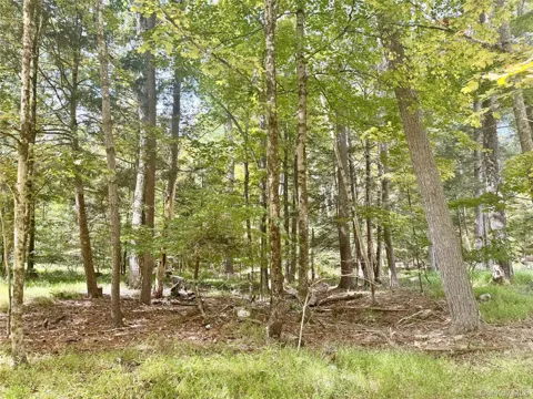 5 Trails