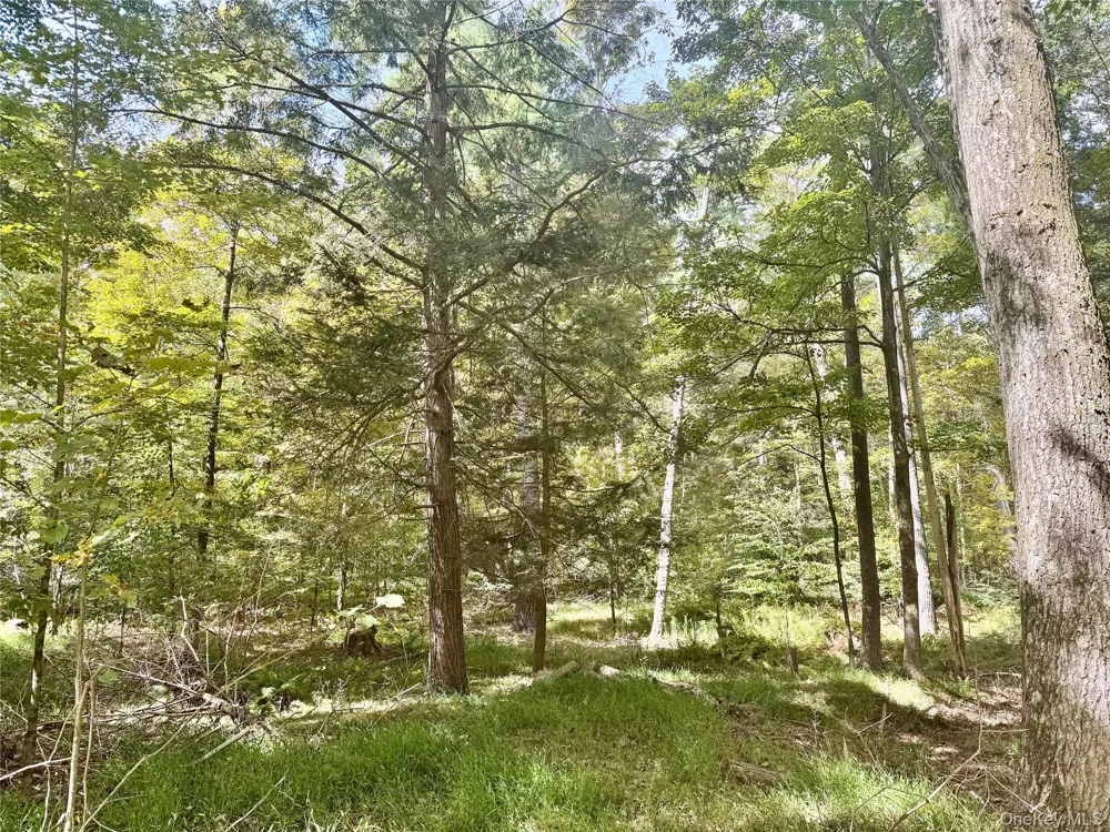 5 Trails Cuddebackville, NY 12729