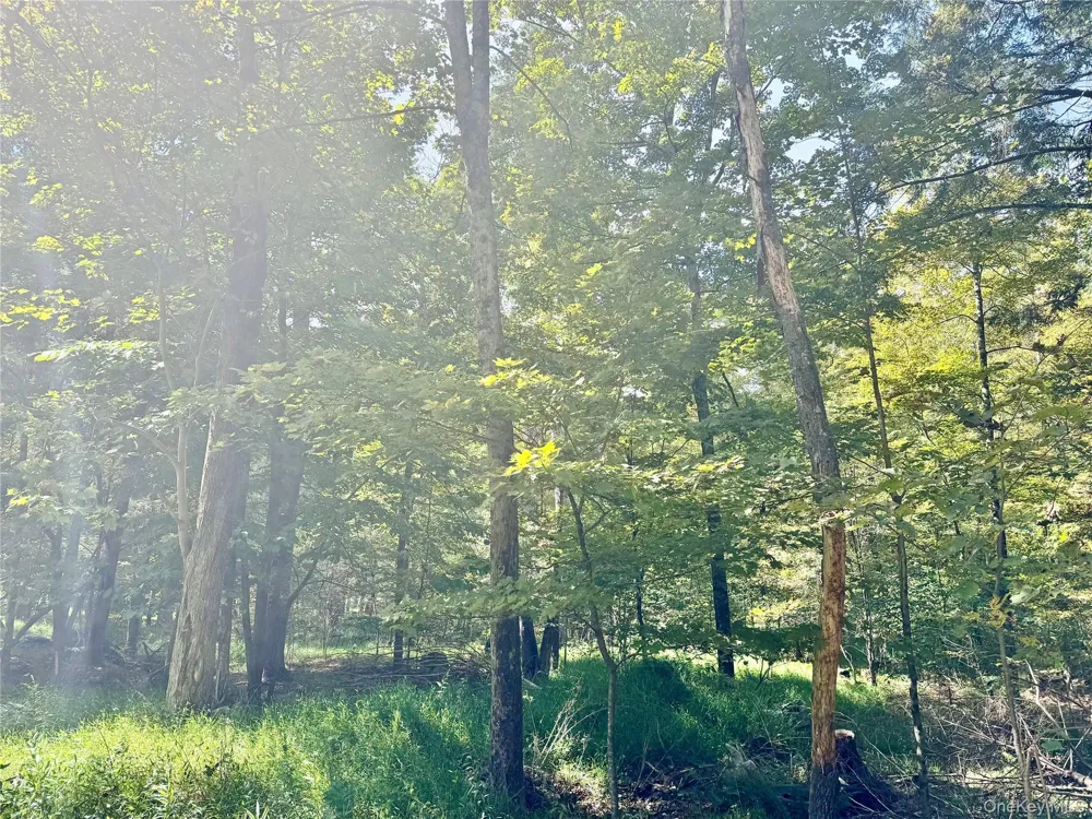 5 Trails Cuddebackville, NY 12729