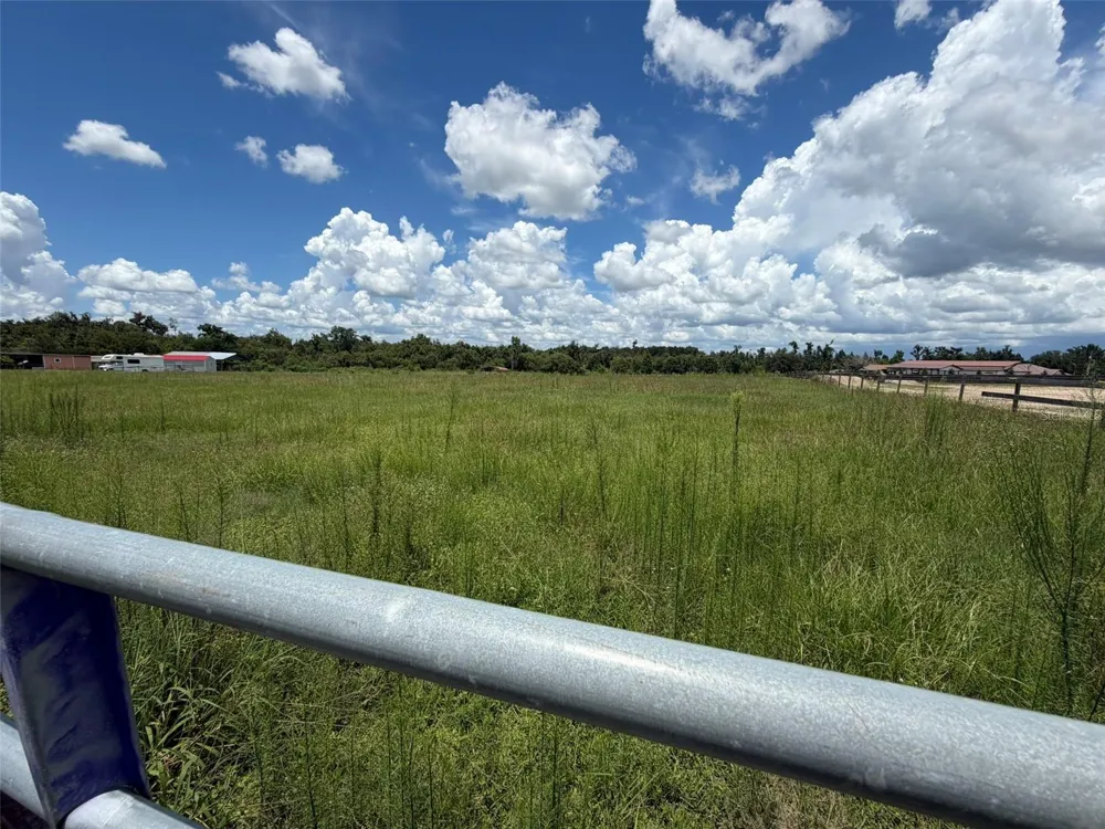 14182 HAYNES ROAD Dover, FL 33527
