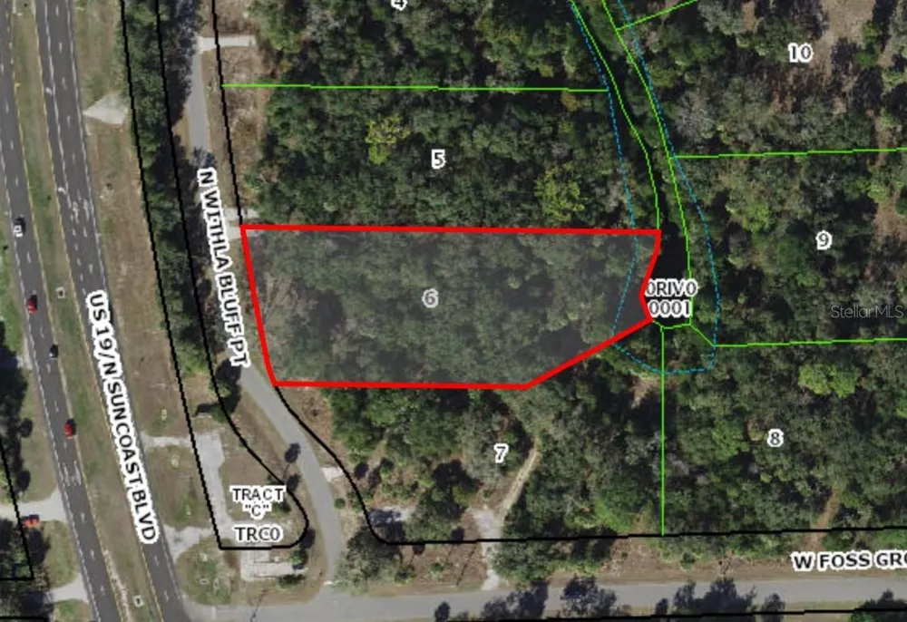 11043 WITHLA BLUFF POINT Inglis, FL 34449