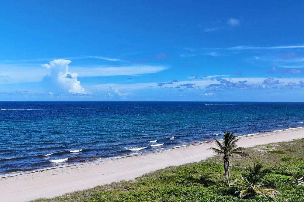 2871 OCEAN BOULEVARD #C205 Boca Raton, FL 33431
