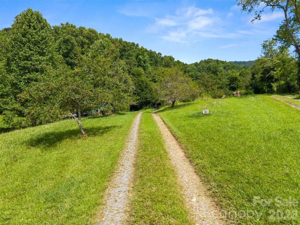789 & 00000 Morrow Branch Road Leicester, NC 28748