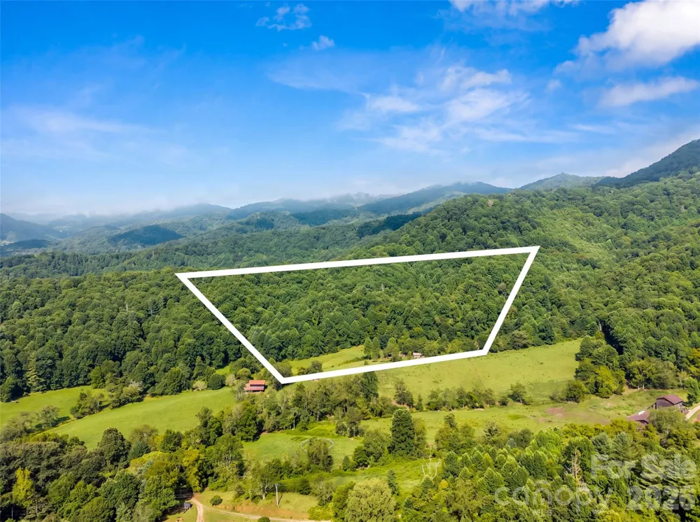 789 & 00000 Morrow Branch Road Leicester, NC 28748