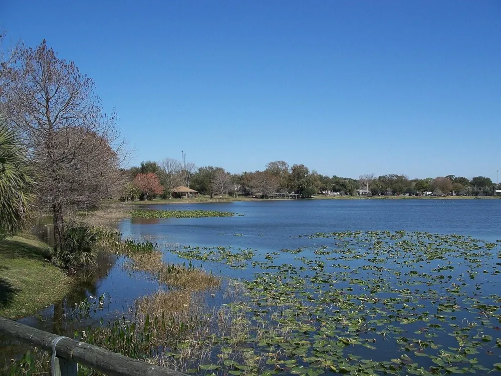 817 OAKS SHORES ROAD Leesburg, FL 34748