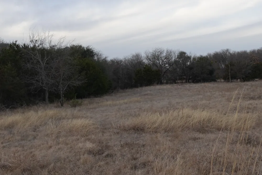 County Road 320 #Tract 3 Dublin, TX 76446