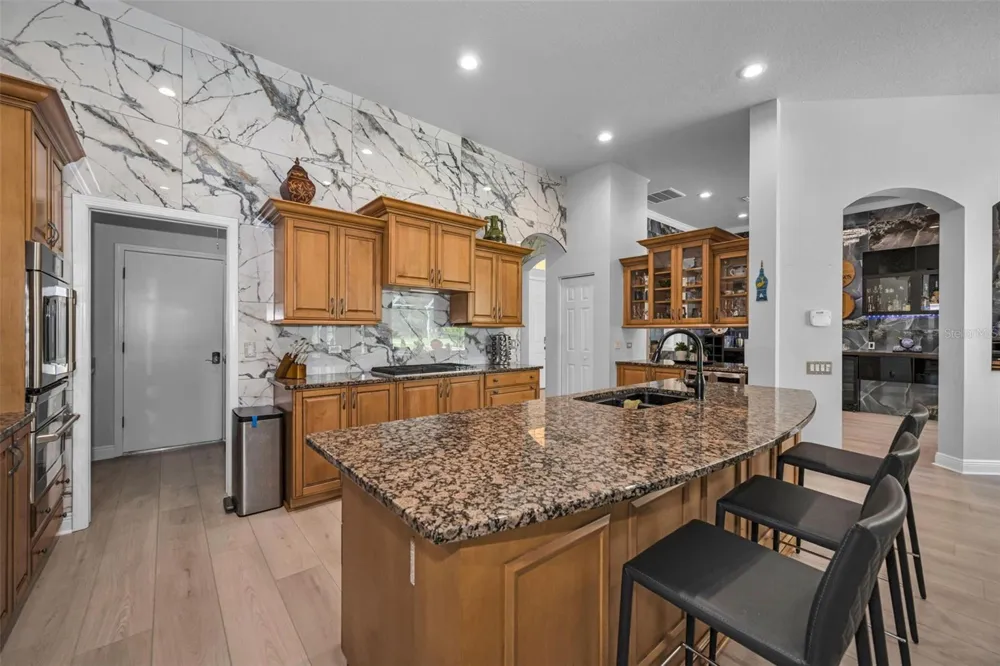 1453 EL PARDO DRIVE Trinity, FL 34655