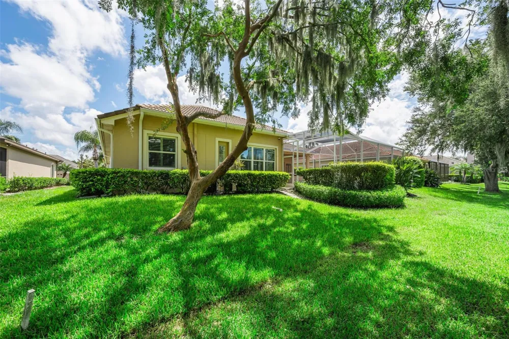 1453 EL PARDO DRIVE Trinity, FL 34655