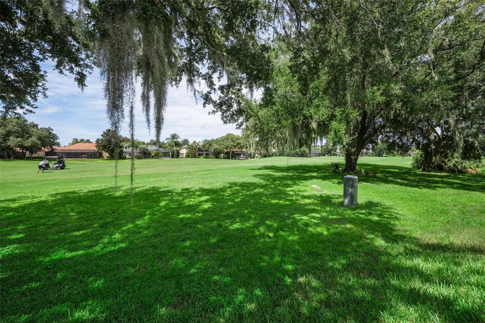 1453 EL PARDO DRIVE Trinity, FL 34655