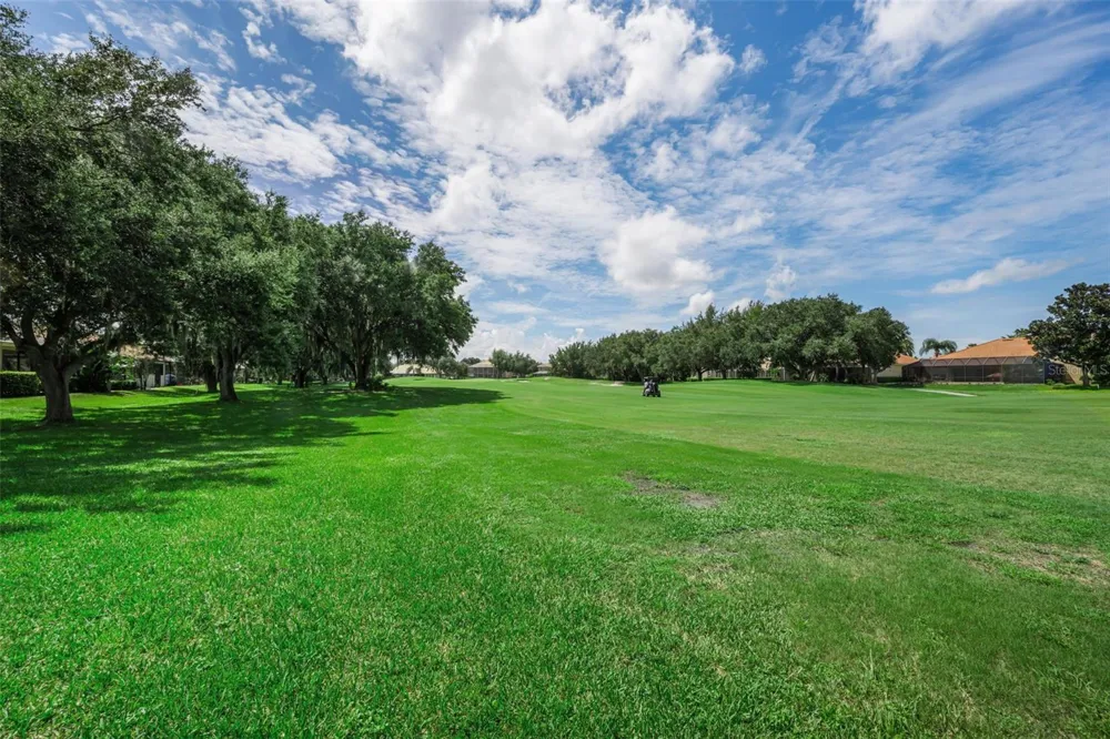 1453 EL PARDO DRIVE Trinity, FL 34655
