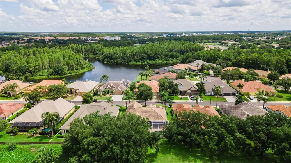 1453 EL PARDO DRIVE Trinity, FL 34655