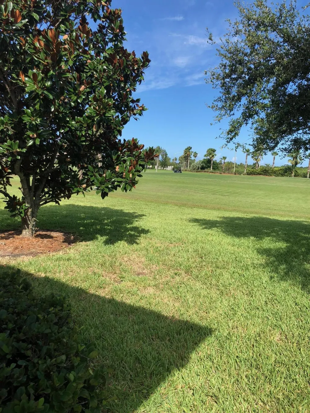 4292 Woodhall Circle Rockledge, FL 32955