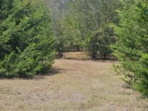 2611 Zachary Drive Blue Ridge, TX 75424