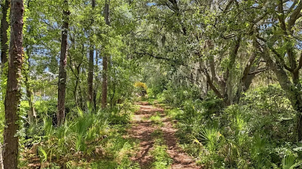 1304 DE LA GARZA PLACE The Villages, FL 32162