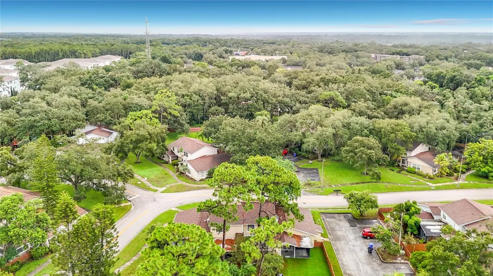 14732 PINE GLEN CIRCLE Lutz, FL 33559