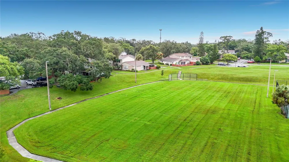 14732 PINE GLEN CIRCLE Lutz, FL 33559