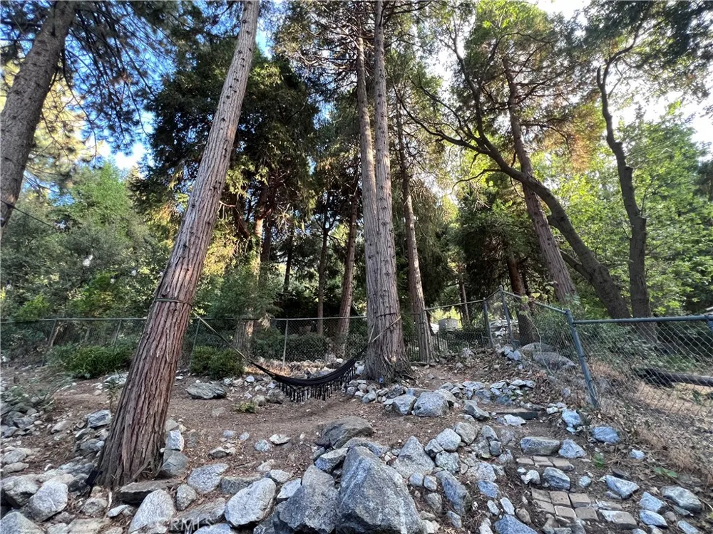 39326 Prospect Forest Falls, CA 92339