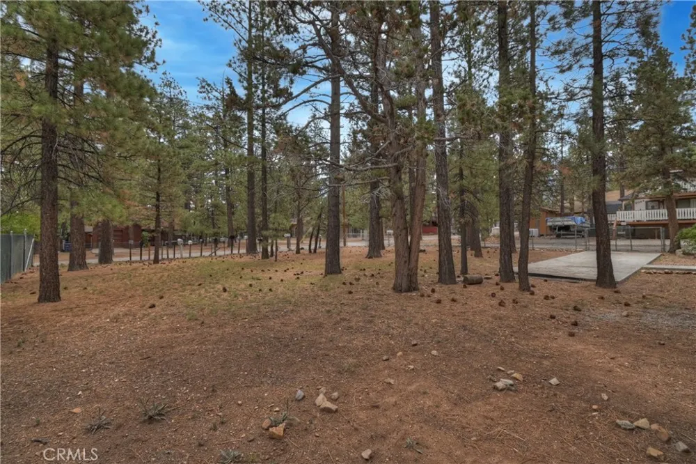 2063 2nd Lane Big Bear City, CA 92314