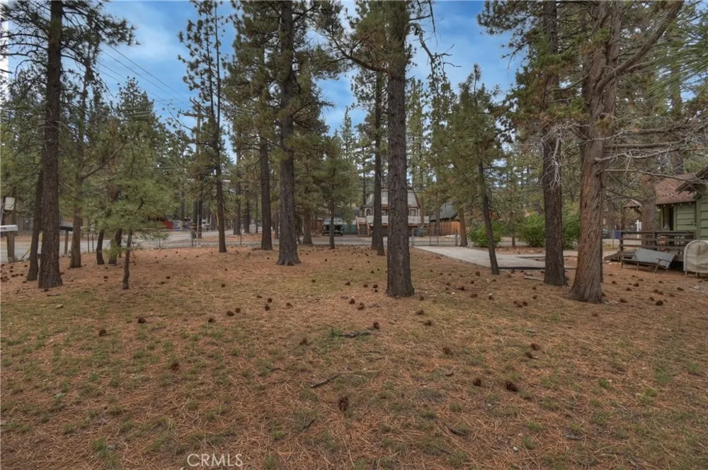 2063 2nd Lane Big Bear City, CA 92314