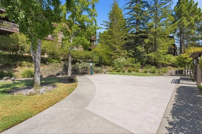 3357 Brittan Avenue #6 San Carlos, CA 94070