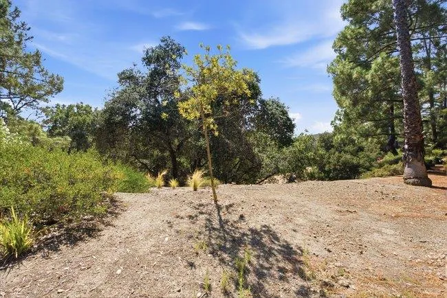 3357 Brittan Avenue #6 San Carlos, CA 94070